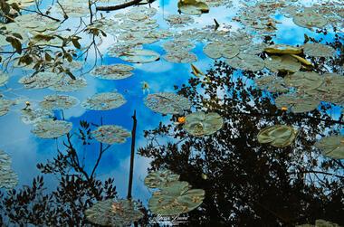 Oasi Boza, Cassano Magnago